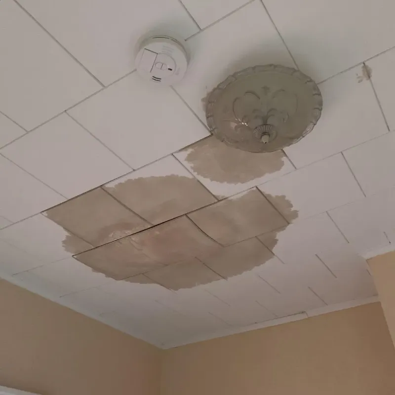Ceiling Water Damage Repair in Taylor Lake Village, TX